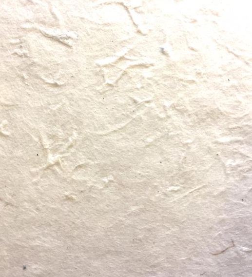 Nepali Paper (For Official Purpose)(5 Sheets)